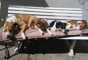 Alle auf der Bank
